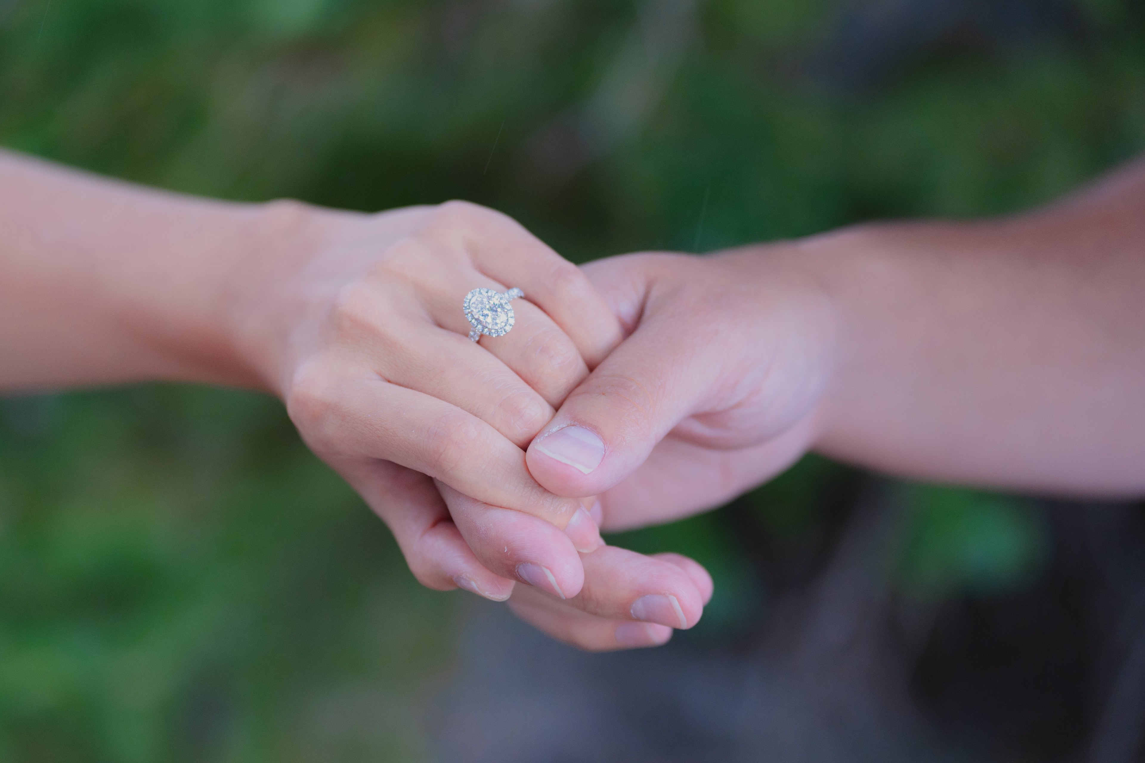 The proposal